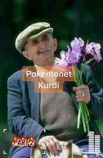 Pokemon in Kurdistan: Exploring Hasan Soro's Adventures