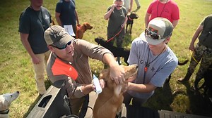 186K views · 6.7K reactions | Register For This Free Workshop if......