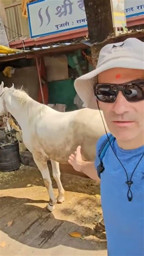 Crossing India by horseback? 🤔