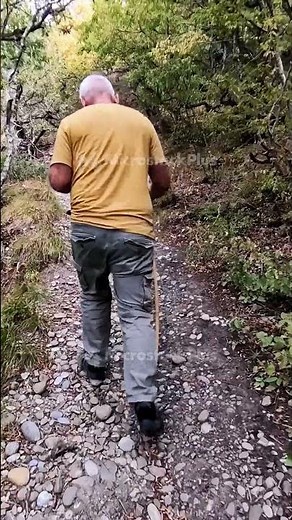 Back view of senior Caucasian man walking in a forest on narrow path with cane in his hand