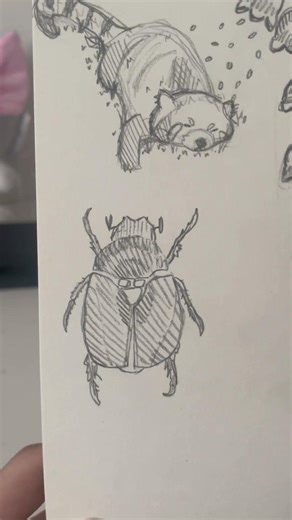 Thought i would post on youtube