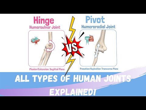 Kinesiology & Biomechanics Joint Types: Synarthrodial & Diarthrodial Joints