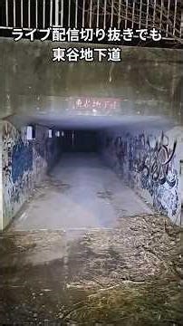 東谷地下道 ライブ配信切り抜きでも