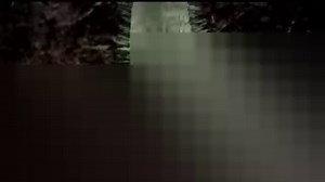 Conoce los beneficios que hace el hongo #Trichoderma en el suelo y en las plantas. | Aprendamos Sobre Cítricos