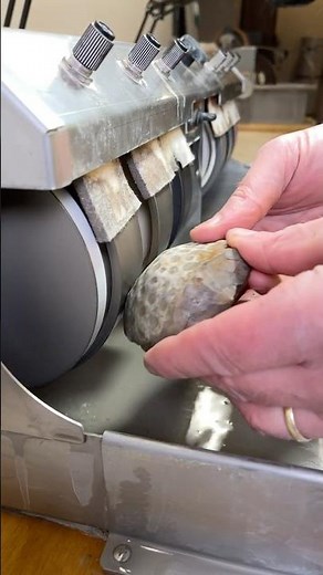 Polishing a Really Rough Petoskey Stone
