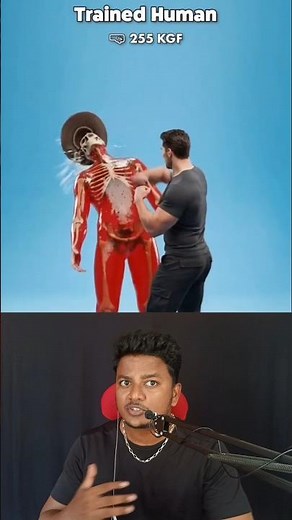 🤯 Punching Force of animals ‼️