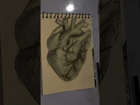 Realistic Human Heart Drawing ✏️ | Step by Step Graphite Shading Tutorial