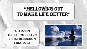 Stress Anxiety Anger Management No Prep SEL Lesson w 2 video & activity PBIS