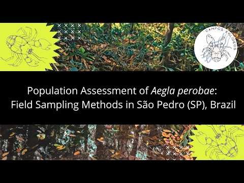 Population Assessment of Aegla perobae: Field Sampling Methods in São Pedro (SP), Brazil