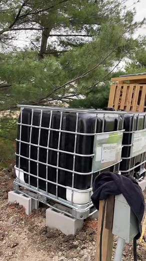 DIY Rainwater Collection System Without Gutters