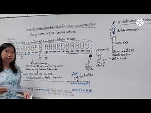 API 20 E for Gram-negative bacterial identification
