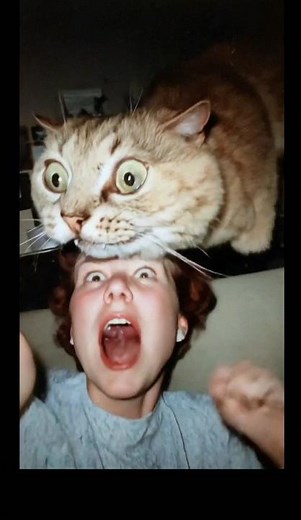 Scary & Creepy Cats 🐈 That Will Shock You 😨