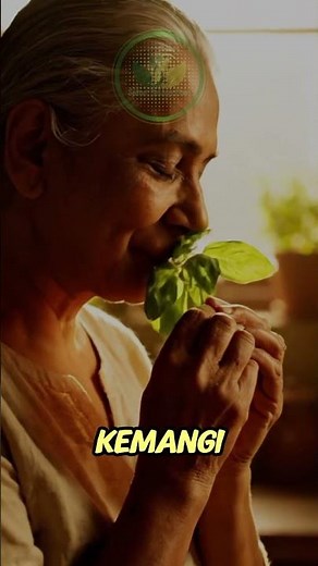 Benefits of Basil Leaves for Health