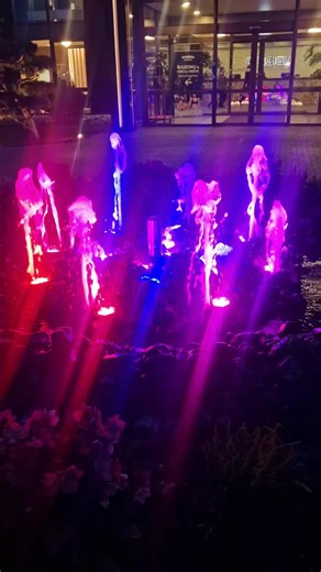 elektra (@elektra4649)’s videos with Originalus garsas - Mister X