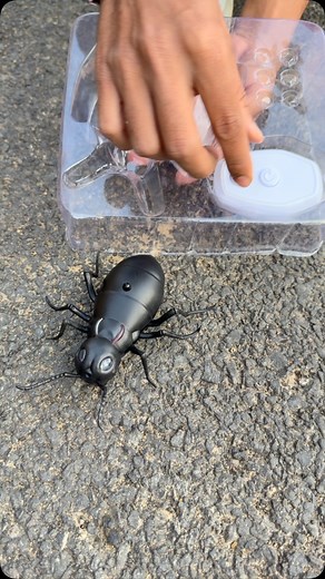 Badrul Shorts | Remote Control Ant 🐜 testing #ant #toys #shorts #unboxing | Instagram