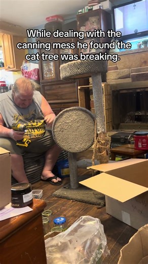 Get you a guy who will help you organize your canning mess AND fix the cat tree.