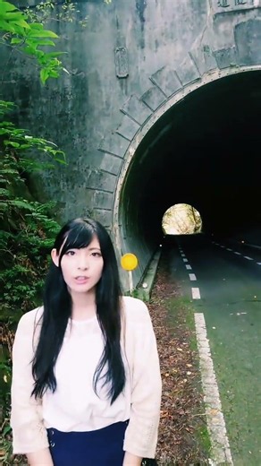 【あほう道のトンネル】15秒で分かる心霊スポット【岡山県】
