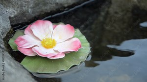 Drinking water in small village hidden in the Italian Swiss Alps near Locarno.