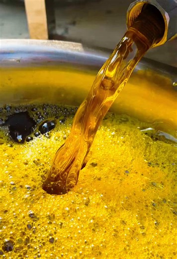 Cold Press Rapeseed Oil with 6YL-195 Screw Oil Press