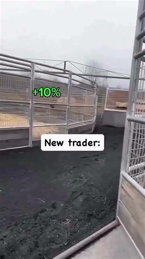 EVERY NEW TRADERS STORY #tradingmemes #trading #smc