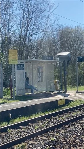 Natural Beauty & Relaxing Nature Sounds | Peaceful Moments #nature #shorts