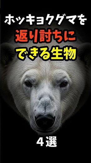 4 monsters feared by the strongest polar bear on earth #polarbear #animals #brownbear #killerwhale