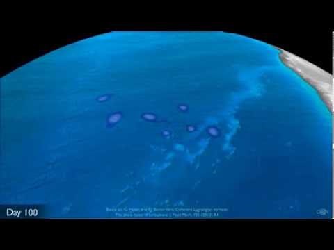 Black Hole Eddies in South Atlantic