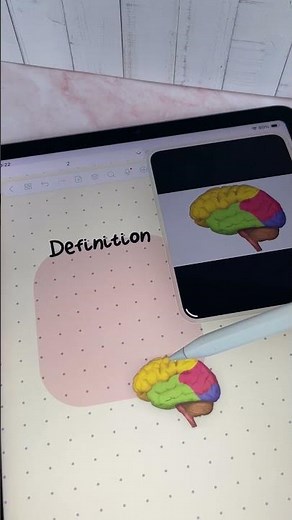 all in one note-taking app (Freenotes)! #freenotes #ipadstudy #digitalnotetakingtips #ipadnotetaking