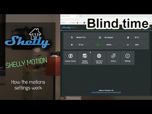 Explaining Shelly Motion detection blind time setting