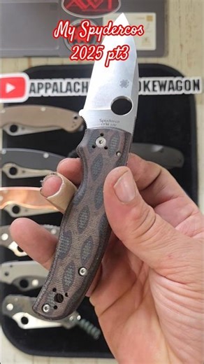 My Spydercos 2025 pt3 #spyderco #edcknife #bladejunkie