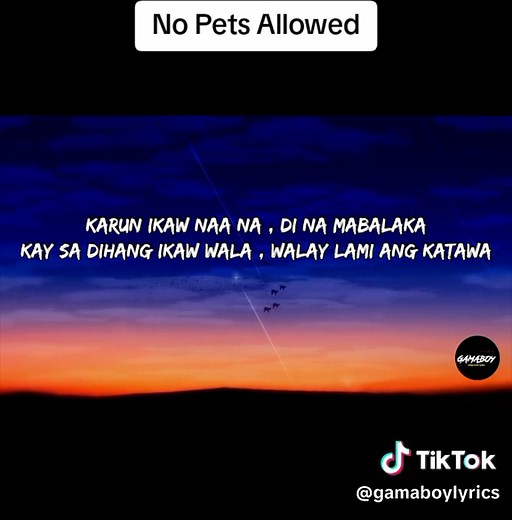 Karung Naa Ka - No Pets Allowed (Lyrics)