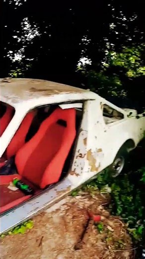 McCoy kit car barn find