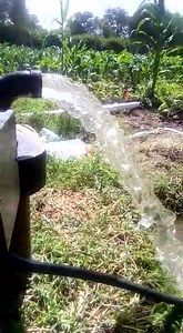 22K views · 114 reactions | Solar water pumping solution Borehole depth 200m Pump position 180m Flow rate 10,000 litres per hour Solar panels 250 watts -40pcs Send us your borehole pump testing report for a quote for complete installation or conversation Call us 0727428009 Emails sales@cephasventures.co.ke | Water Pumps | Facebook