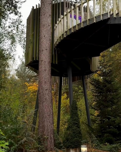 Immerse yourself in the forest with a blissful escape to Aqua Sana Forest Spa 🌲✨ Have you visited on your short break? 🔗https://brnw.ch/21wQrJs | Center Parcs UK