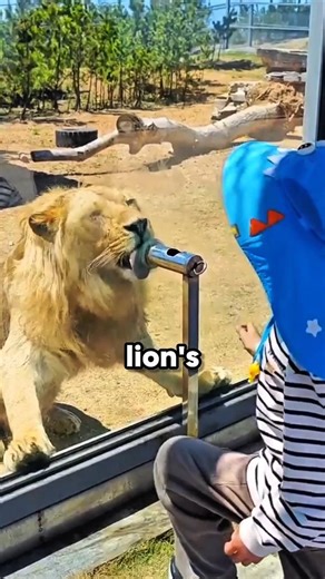 This Zoo Experience Will Blow Kids’ Minds 🦁
