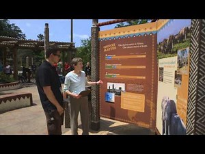 Psychology: Science in Action – Meet conservation psychologist Susan Clayton, PhD