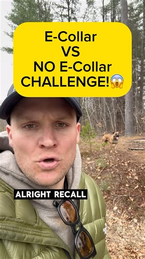 967 reactions · 287 comments | The remote collar is an incredibly valuable asset to training your dog off-leash, BUT you gotta do it right. My course goes through the entire process on how to do that. Step by step process to get reliable off leash freedom for your dog! Head to tomdaviscourses.com and use code: startnow to get $75 off today only!! #offleash #remotecollar #dogtraining #recalltraining #balanceddogtraining | Tom Davis Dog Training | Facebook