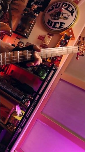 THIS IS MY ALEMBIC BASS