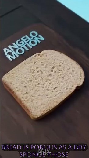 “Why Does Bread Go Bad? The Science Behind Mold” 🍞🧫