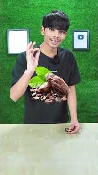 I TRIED CHEAPEST TO EXPENSIVE CHOCOLATES 🍫 #shorts #ytshorts