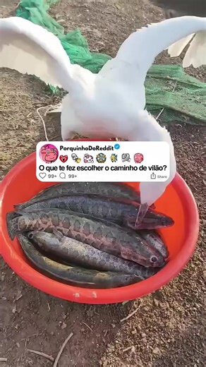 História de Reddit: Acusação Injusta Parte 3