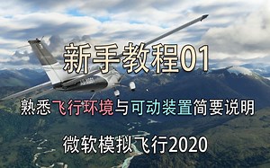【模拟飞行2020】 新手教程01 熟悉飞行环境与可动装置简要说明