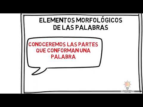 ESTRUCTURA DE LAS PALABRAS: lexema (raíz) y morfema
