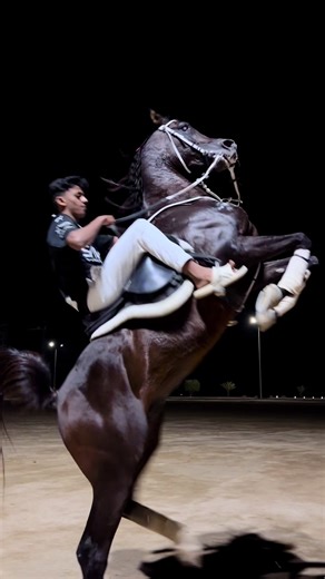 براق ابن وادي الشقب: الفروسية في أبهى صورها
