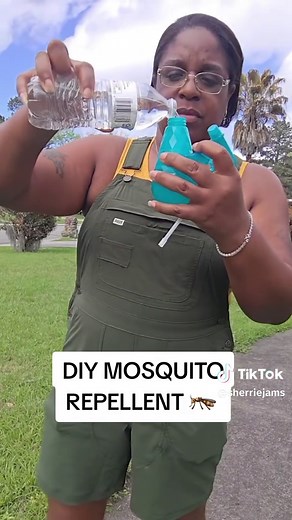 Effective Homemade Mosquito Repellent Recipe