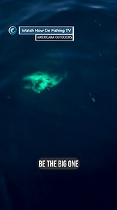 5.2K views · 29 reactions | What’s your ultimate fishing trip? -...