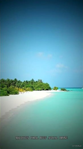 👀 Maldives coral reef aerial drone — The View That Breaks the Internet