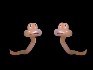 How to Make Balloon Snake
