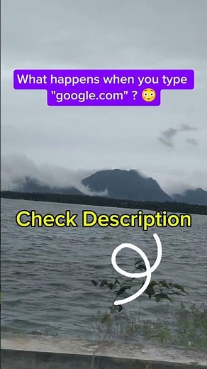 Interview Questions 🚀 #shorts #explore #viral #viralshorts