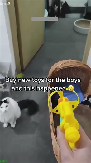 Cat Funny Videos 🐈‍⬛ #viral 😅 # Episode 4463